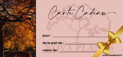 Carte cadeau 